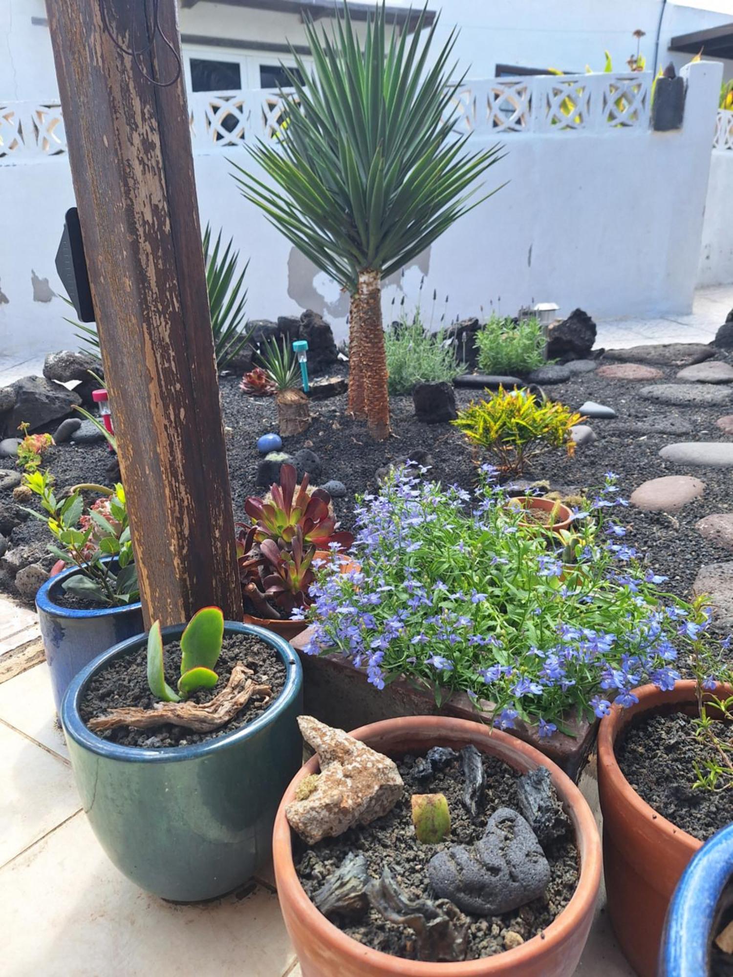Villa Casita Pequena Lanzarote à Teguise  Extérieur photo